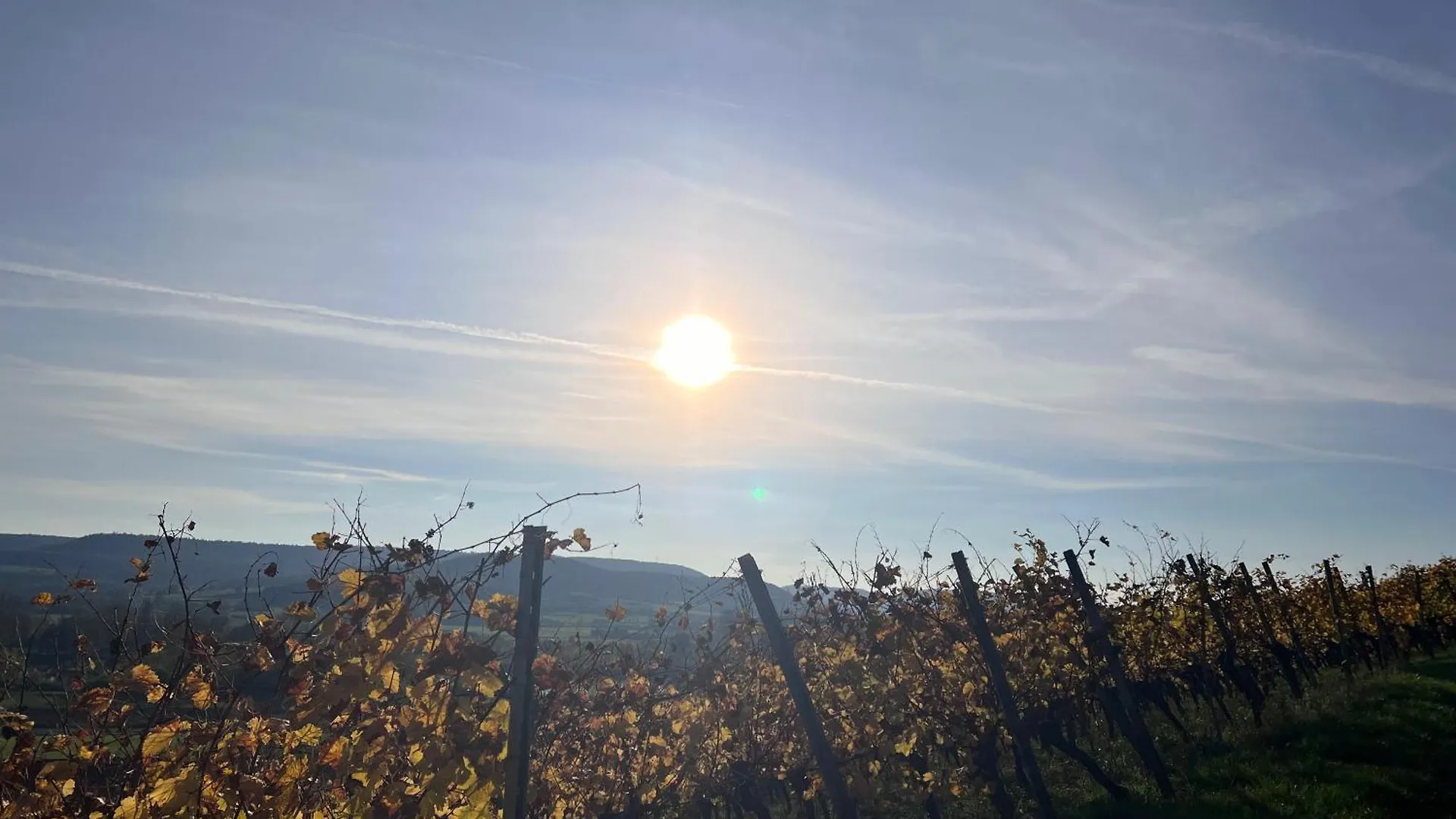 Hotel Alte Rose Gasthaus Ebelsbach